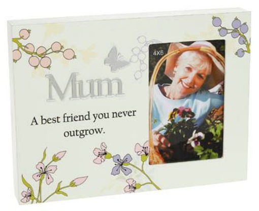 Picture of FLORAL REFLECTION FRAME MUM
